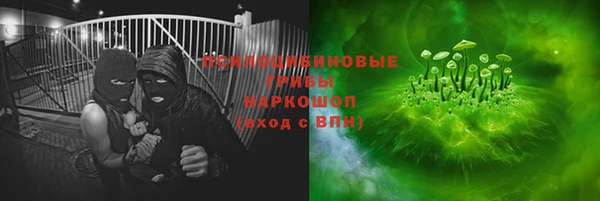 ГАЛЛЮЦИНОГЕННЫЕ ГРИБЫ Алексеевка