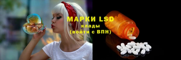 apvp Алзамай