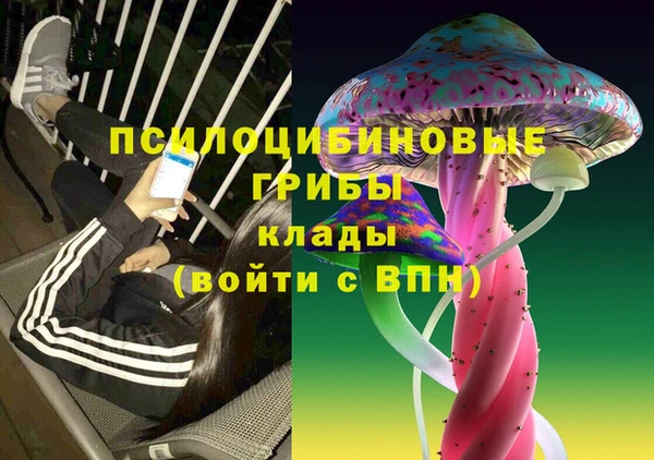 ГАЛЛЮЦИНОГЕННЫЕ ГРИБЫ Алексеевка